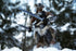 PUREARTS Dragonborn (Deluxe Edition) - The Elder Scrolls V Skyrim - 1/6 Scale Collectible Figure